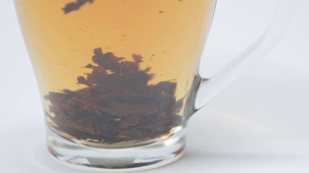 Close up view of cup with brewed tea on white - Footage, Video