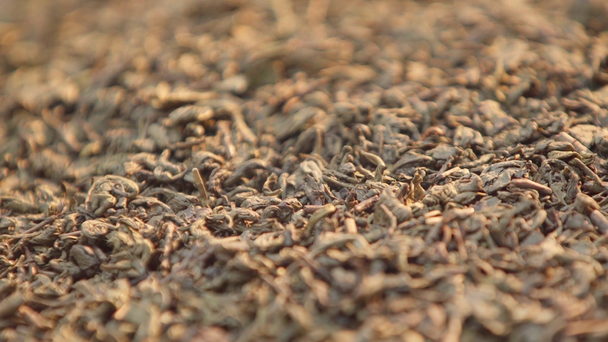 Szárított bio tealevelek fókuszhúzása - Felvétel, videó