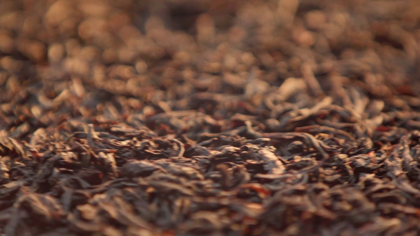 Vista de cerca de las hojas de té secas - Metraje, vídeo