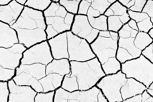 Белый высохший и потрескавшийся грунт. Крупный план сухой трещины. эрозия - Фото, изображение