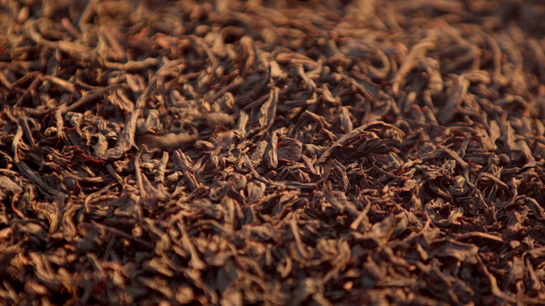 Hojas de té secas cayendo desde arriba - Metraje, vídeo