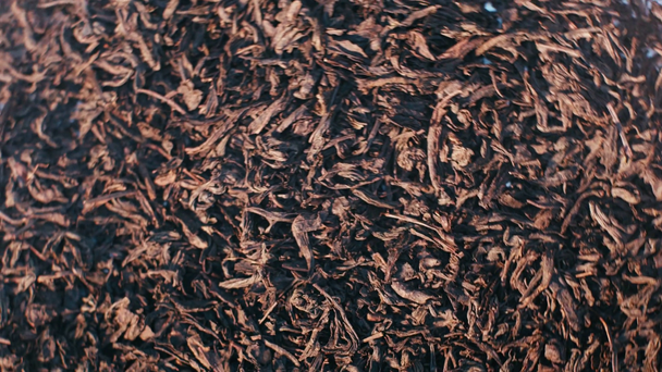 Κάτοψη των αποξηραμένων φύλλων τσαγιού που περιστρέφονται γύρω - Πλάνα, βίντεο