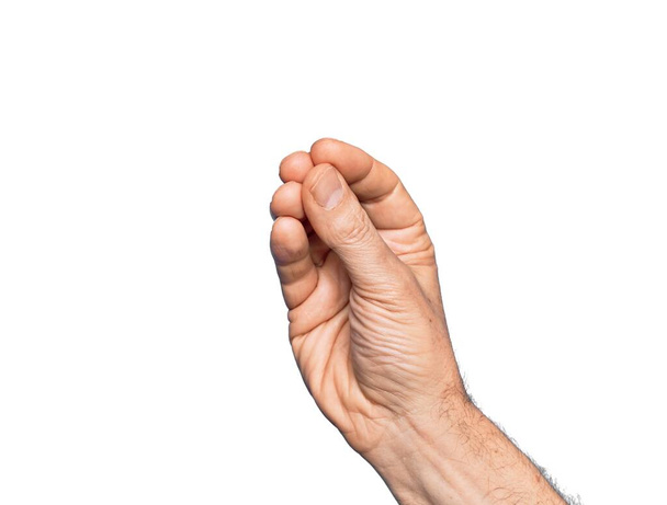 Mano de hombre caucásico de mediana edad sobre fondo blanco aislado haciendo gesto italiano con los dedos juntos, movimiento de gesto de comunicación - Foto, imagen