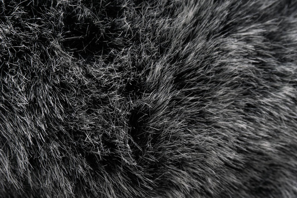 Černá a bílá zvířecí vlna textura pozadí, šedá přírodní nork vlna, close-up textura z plyšové tmavé kožešiny - Fotografie, Obrázek
