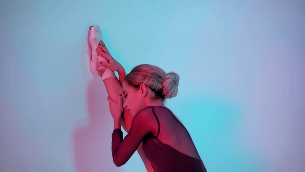 Giovane ballerina allungamento gamba vicino alla parete su sfondo blu e rosa - Filmati, video