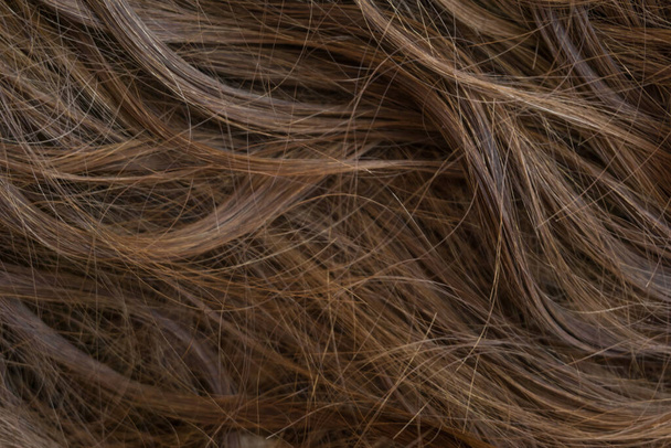 Brown long hair texture background - Photo, Image