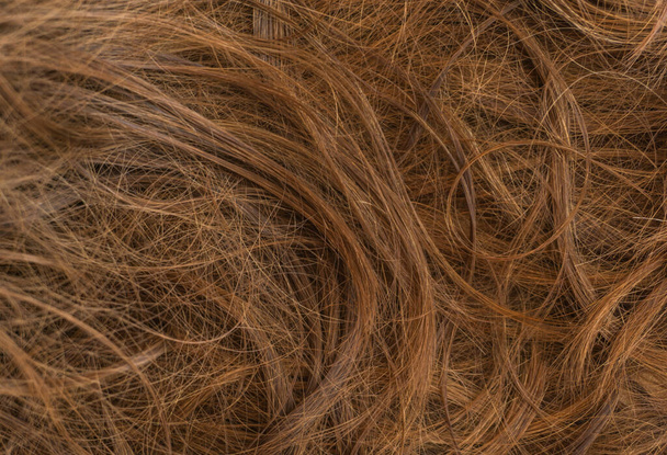 Barna hosszú haj textúra háttér - Fotó, kép