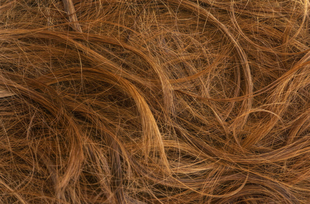 Brun texture de cheveux longs fond - Photo, image
