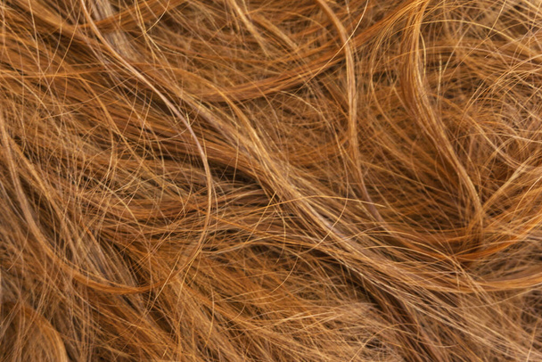 Fondo de textura de pelo largo marrón - Foto, imagen