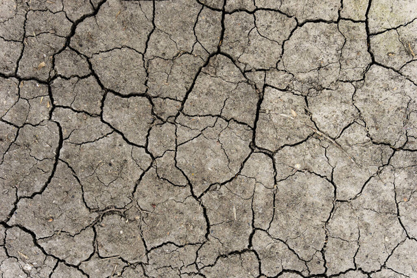 Fondo de tierra gris seco y agrietado. Primer plano de la fisura seca suelo oscuro. Grieta gris en la textura de la tierra. erosión - Foto, Imagen