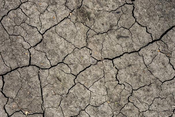 Grijs gedroogde en gebarsten aarde achtergrond. Close-up van droge spleet donkere grond. Grijze scheur op aarde textuur. erosie - Foto, afbeelding