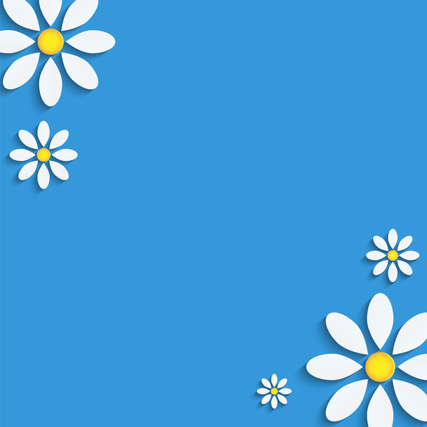 camomilas florais background.white em fundo azul flo papel
 - Vetor, Imagem