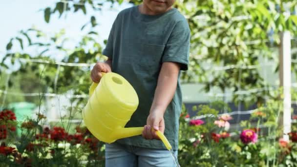 Video chlapce zalévajícího zeleninu ze žluté plechovky od vody. Snímek s RED heliovou kamerou v 8K. - Záběry, video