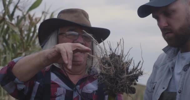 Mužští farmáři zkoumají kořeny rostlin - Záběry, video