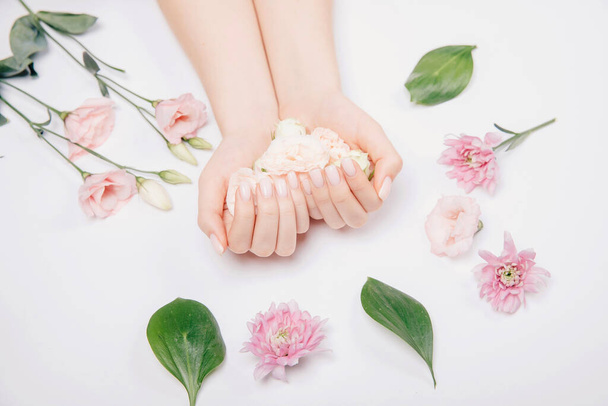 Close-up mooie verfijnde vrouwelijke handen met roze bloemen op witte achtergrond. Concept handverzorging, anti-rimpels, anti-aging crème, spa - Foto, afbeelding