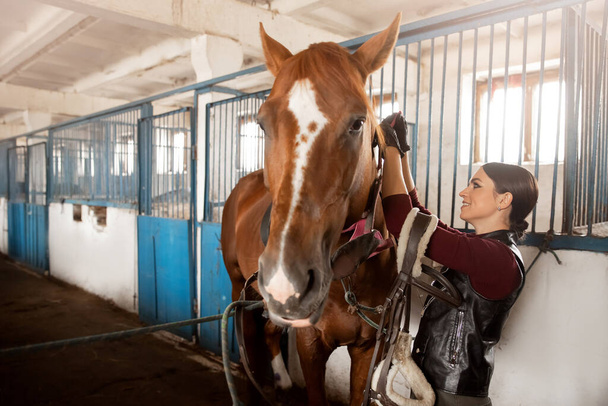 Vrouw verzorgen borstels paard uit en bereidt na het rijden in stal - Foto, afbeelding