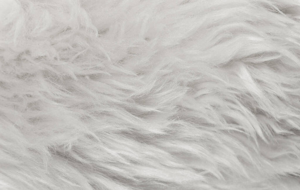 Fehér állati gyapjú textúra háttér, bézs természetes juhgyapjú, közelkép textúra plüss bolyhos szőrme - Fotó, kép