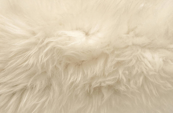 Άσπρο δέρμα ζώου φόντο υφή, μπεζ φυσικό μαλλί πρόβατα, close-up υφή βελούδινη χνουδωτή γούνα - Φωτογραφία, εικόνα