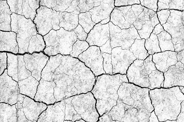 Witte gedroogde en gebarsten aarde achtergrond. Close-up van droge spleetgrond. Grijze scheur op aarde textuur. erosie - Foto, afbeelding