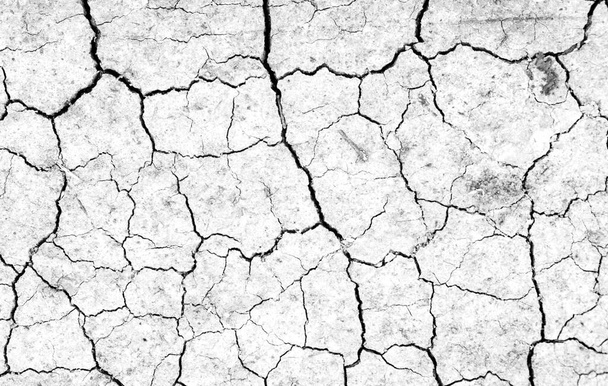 Valkoinen kuivattu ja säröillä maa tausta. Kuivan halkeaman lähikuva. Harmaa halkeama maan pinnalla. eroosio - Valokuva, kuva