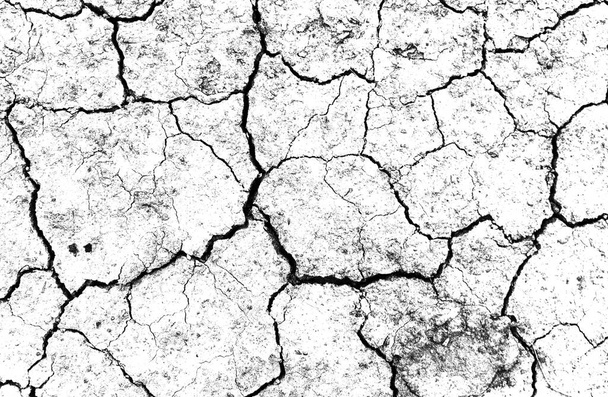 Valkoinen kuivattu ja säröillä maa tausta. Kuivan halkeaman lähikuva. Harmaa halkeama maan pinnalla. eroosio - Valokuva, kuva