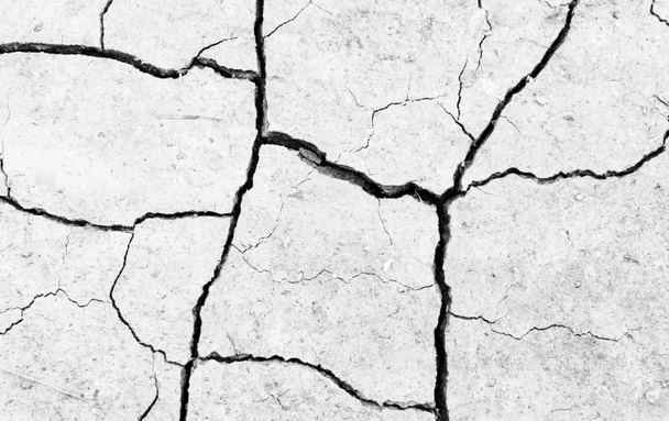 Blanco seco y agrietado fondo de tierra. Primer plano del suelo de fisura seca. Grieta gris en la textura de la tierra. erosión - Foto, imagen