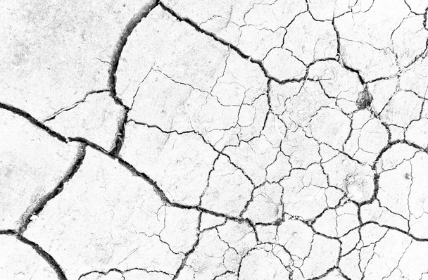 Blanco seco y agrietado fondo de tierra. Primer plano del suelo de fisura seca. Grieta gris en la textura de la tierra. erosión - Foto, imagen