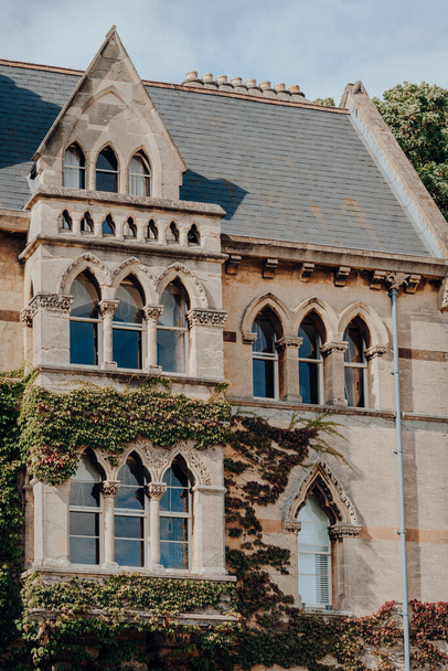 Klimplant aan de buitenkant van het Meadow Building, Christ Church College in Oxford, Engeland, Verenigd Koninkrijk. - Foto, afbeelding