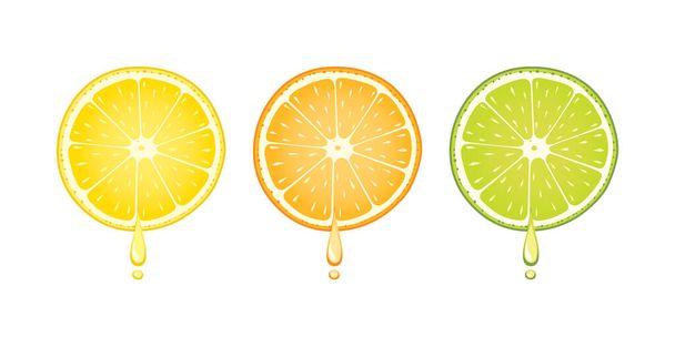Χυμός σε σχήμα σταγόνας που ρέει από μια φέτα λεμονιού, πορτοκαλιού και ασβέστη που απομονώνεται σε λευκό φόντο. - Διάνυσμα, εικόνα