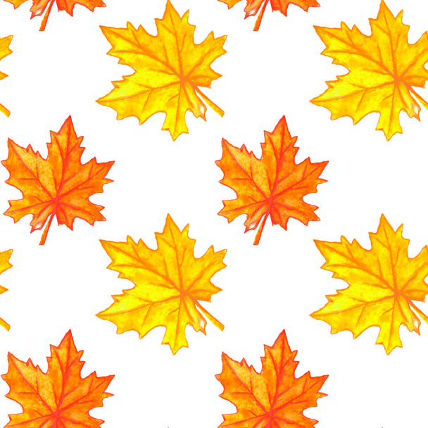 Acquerello autunno acero foglie modello senza soluzione di continuità. Sfondo colorato caduta e texture, - Foto, immagini