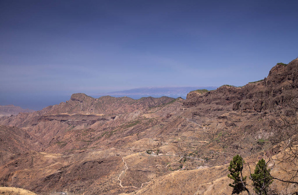 Gran Canaria, landscape of the central part of the island, Las Cumbres, ie The Summits, Canary Pines burnt in wildfire slowly recovering  - Photo, Image