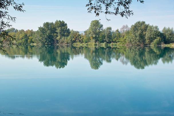растительность на берегах озера отражается в затишье - Фото, изображение