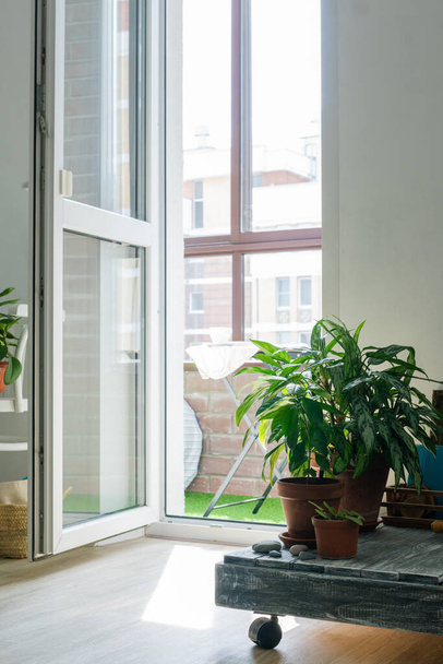 bright interior. View of the open balcony. Green plants in terracotta pots - Foto, imagen