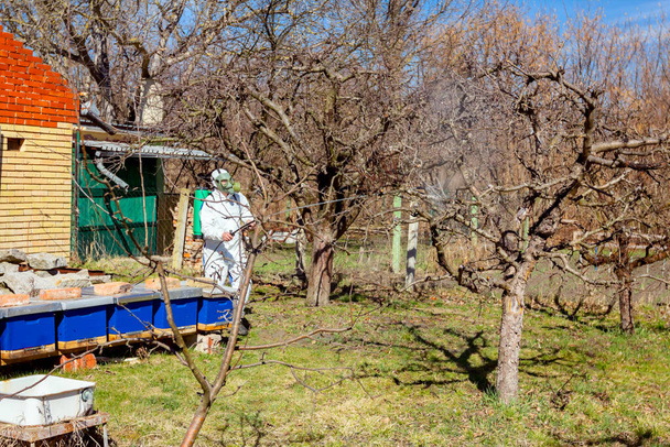 Landwirt in Schutzkleidung und Gasmaske sprüht Obstbäume im Obstgarten mit langen Sprühgeräten, um sie mit Chemikalien vor Pilzkrankheiten oder Ungeziefer im zeitigen Frühling zu schützen, in der Nähe von Bienenvölkern, Bienenständen. - Foto, Bild