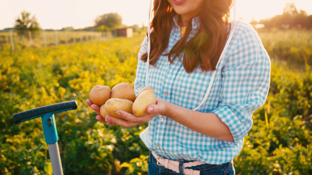 slow motion of woman holding fresh potatoes in hands  - Imágenes, Vídeo