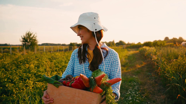 kobieta w kapeluszu spaceruje po polu i trzyma pudełko z warzywami  - Materiał filmowy, wideo
