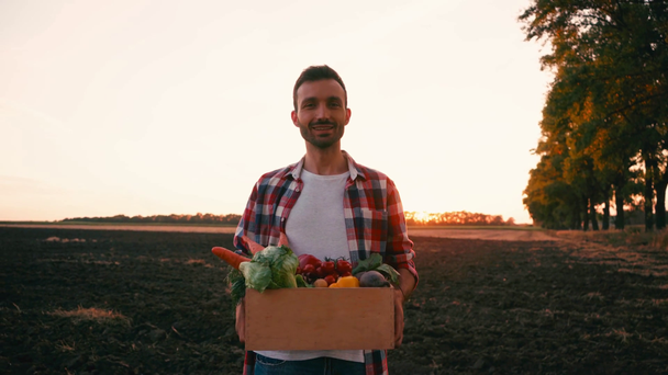 boer in geruite overhemd holding box met groenten in de buurt van veld in de avond  - Video