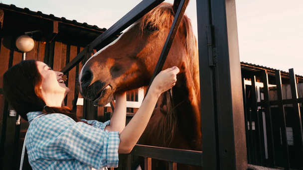 joyful woman touching brown horse in corral - Footage, Video