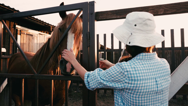 Frau mit Hut berührt braunes Pferd im Gehege - Filmmaterial, Video