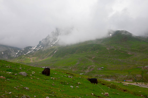 Avusor plateau and kackar mountains - Photo, image