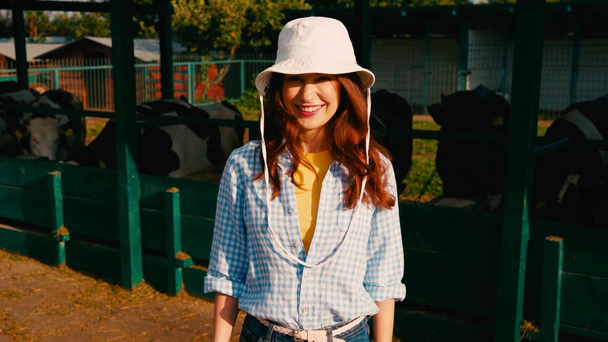 brunetka ranczer w kapelusz wskazując z ręki na krowy w pobliżu ogrodzenia  - Materiał filmowy, wideo