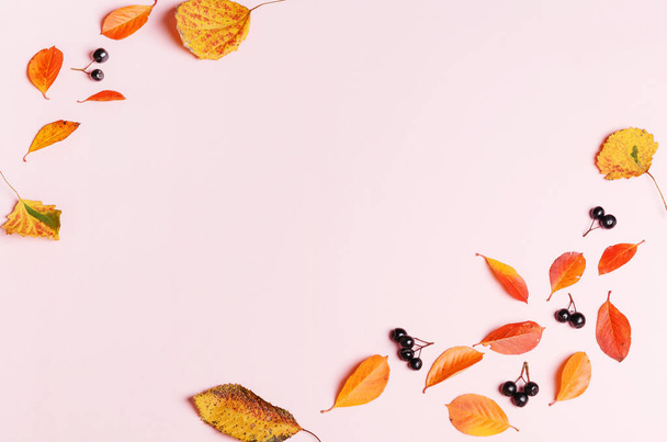 秋の紅葉とピンクを基調としたベリー. - 写真・画像