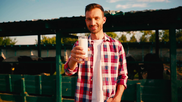 fazendeiro em camisa xadrez segurando vidro com leite fresco perto de cerca com vacas - Filmagem, Vídeo