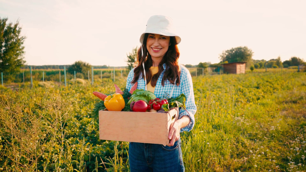 фермер в шляпе держит коробку со свежими овощами в поле  - Кадры, видео