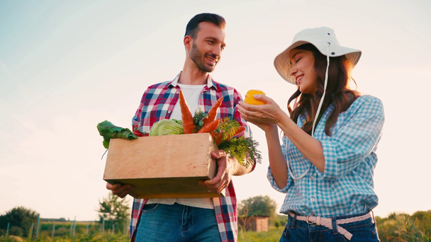 фермер держит коробку со свежими овощами и ходит с женщиной в шляпе  - Кадры, видео
