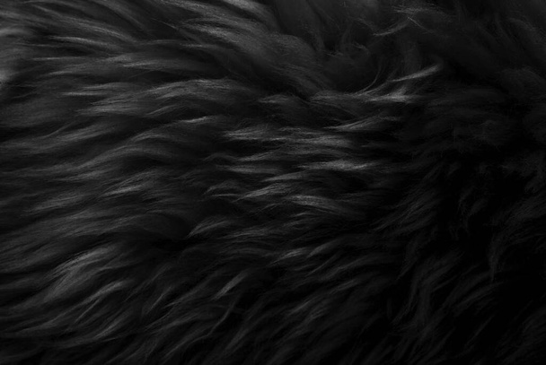 Μαύρο χνουδωτό μαλλί υφή, σκούρο φυσικό μαλλί φόντο, γούνα υφή close-up για τους σχεδιαστές, ελαφρύ μακρύ τρίχωμα των ζώων - Φωτογραφία, εικόνα