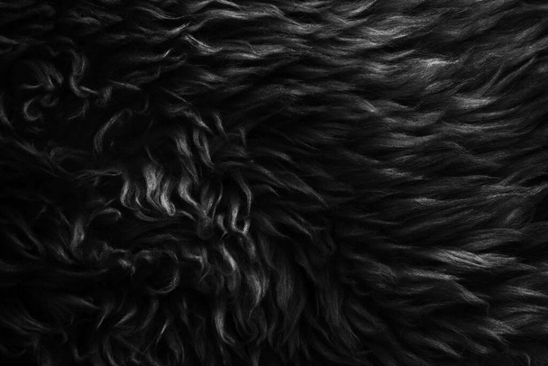 Černá vlna textura pozadí, tmavá přírodní ovčí vlna, černá bezešvá bavlna, textura šedé chlupaté kožešiny, detail-up fragment z černé vlny koberec - Fotografie, Obrázek