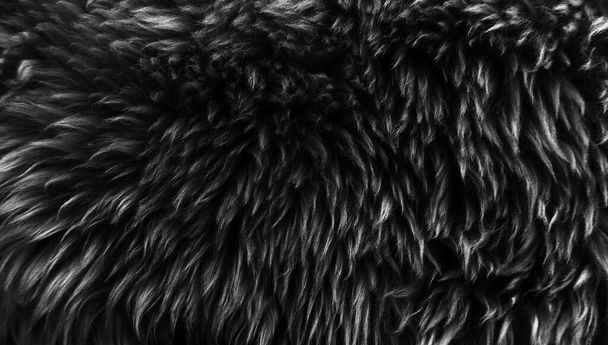 Μαύρο μαλλί υφή φόντο, σκούρο φυσικό μαλλί πρόβατα, μαύρο αδιάλειπτη βαμβάκι, υφή του γκρι χνουδωτή γούνα, close-up θραύσμα από μαύρο μαλλί χαλί - Φωτογραφία, εικόνα