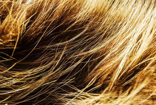 Fondo de textura de lana marrón, lana de algodón, vellón de jengibre, lana de oveja natural marrón, textura de piel esponjosa marrón, abrigo de lana largo y abigarrado, macro de primer plano, abstracto, piel - Foto, Imagen