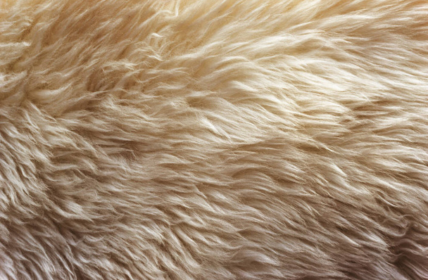 Коричневая мягкая шерсть текстура фона, вата, легкая имбирная натуральная овечья шерсть, крупным планом текстура белого пушистого меха, шерсть с бежевым тоном, мех с тонким персиковым оттенком - Фото, изображение